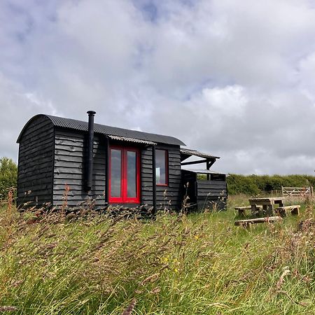 Shepherds Hut In A Private Meadow With Sea Views Hartland Exterior photo